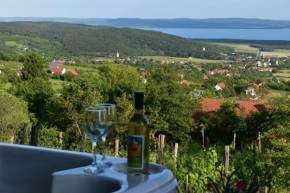 Panoráma Borbirtok